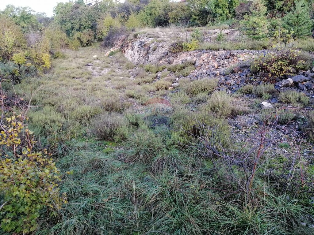 Image 5429952 - 1