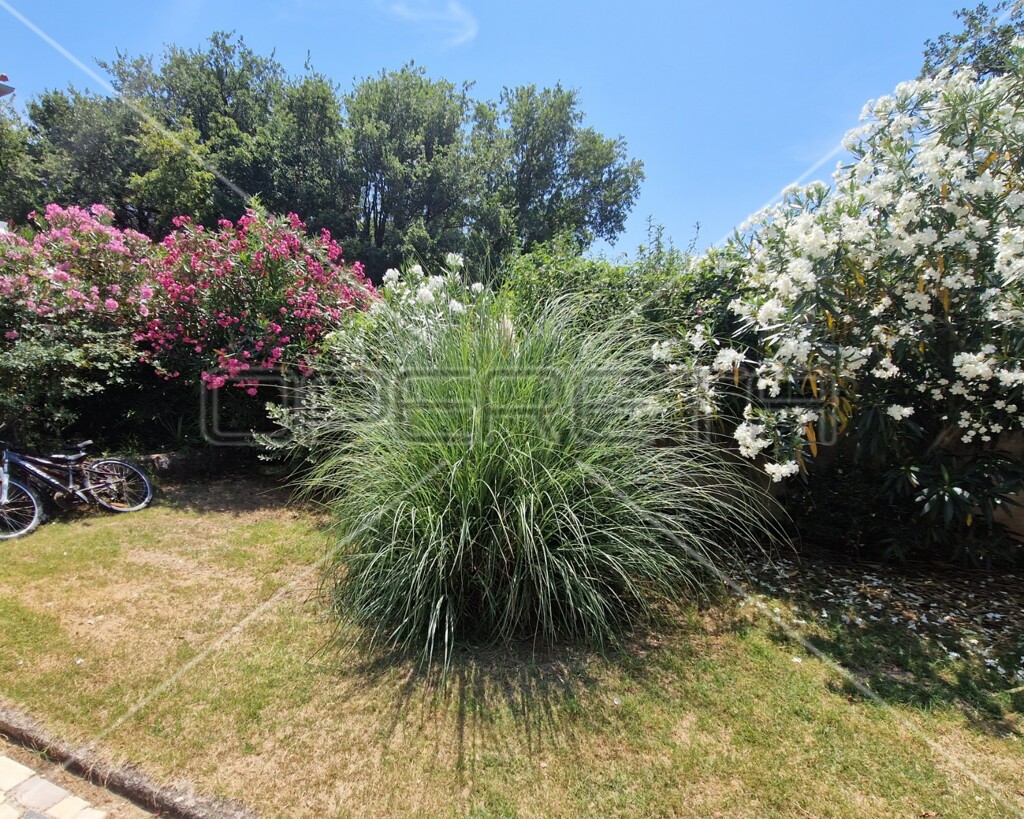 Image 13