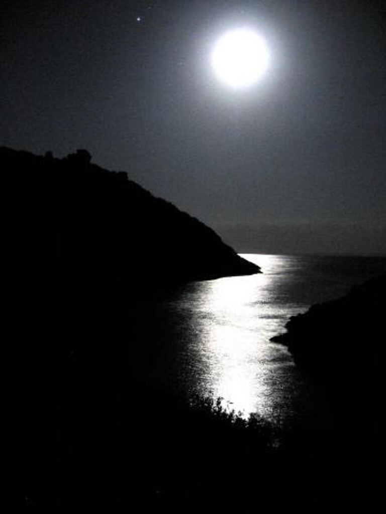 Image 15