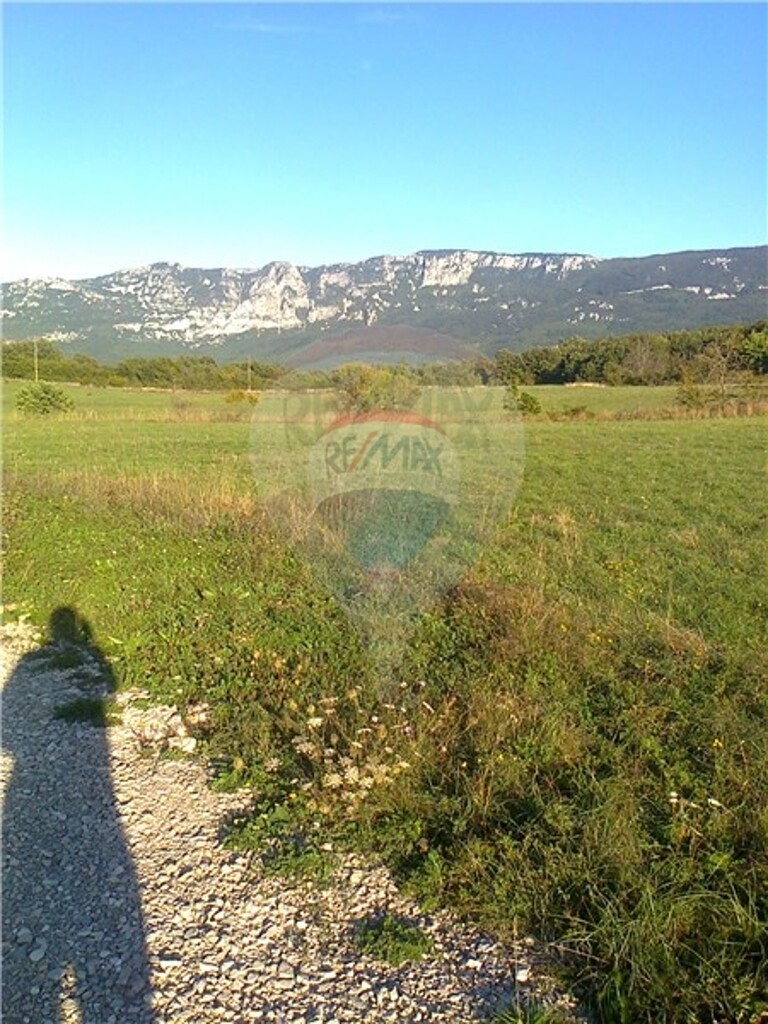 Image 5411160 - 3