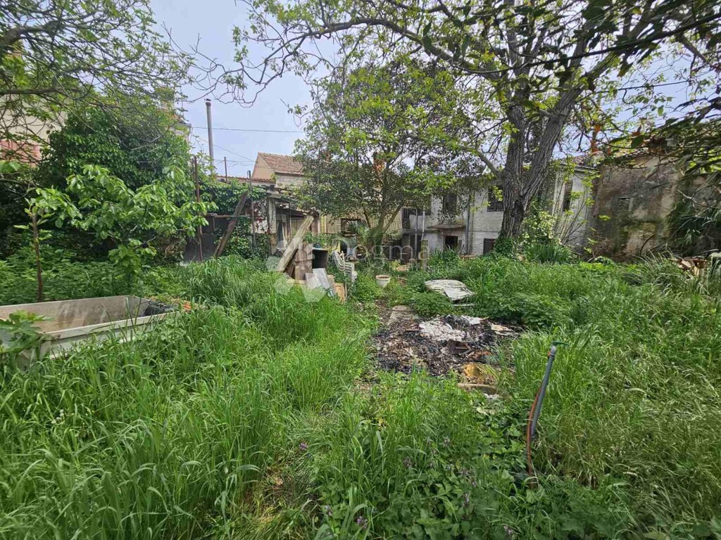 Image 20