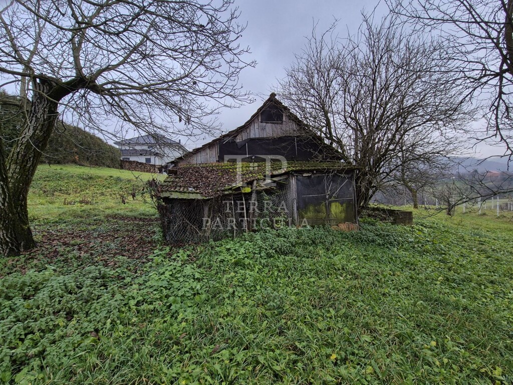 Image 16