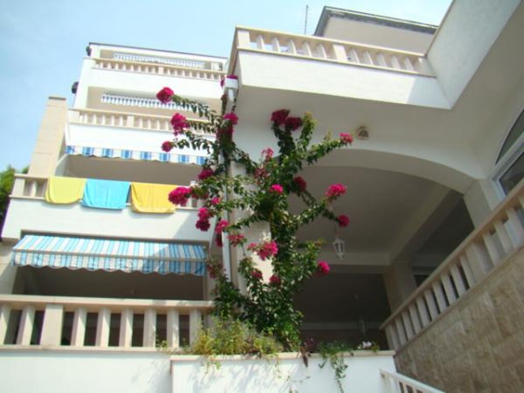 Image 3838455 - 5