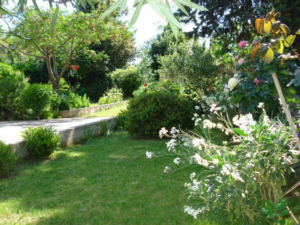 Image 3838866 - 8