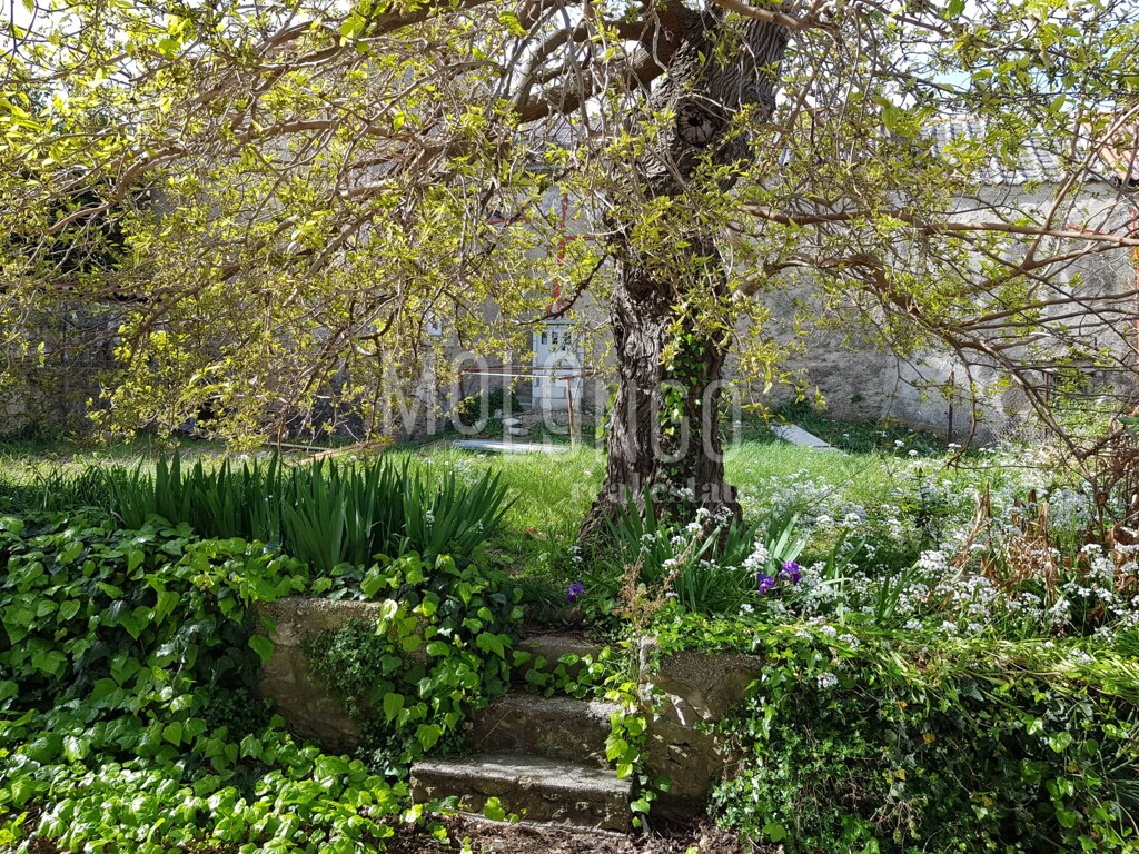 Image 24