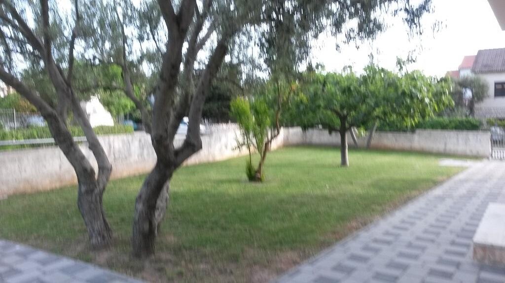 Image 3838685 - 14