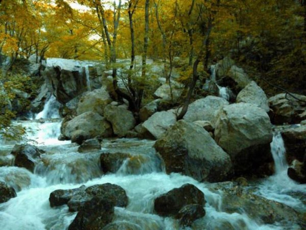 Image 3811241 - 34
