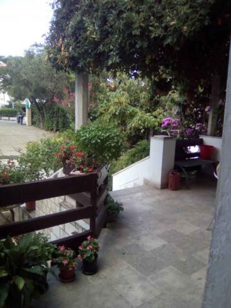 Image 3810861 - 9