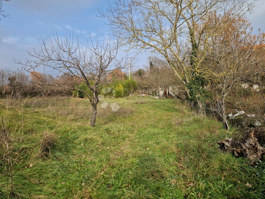 Image 19
