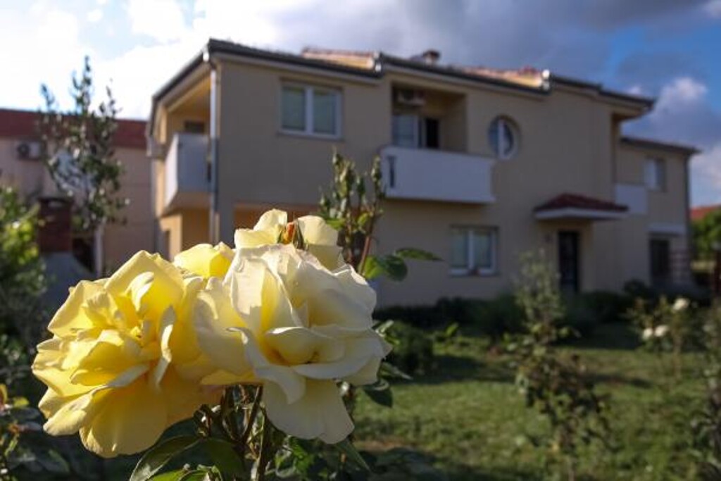 Image 4686761 - 2