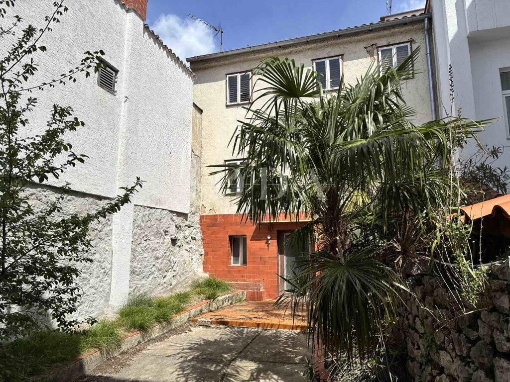 Image 20
