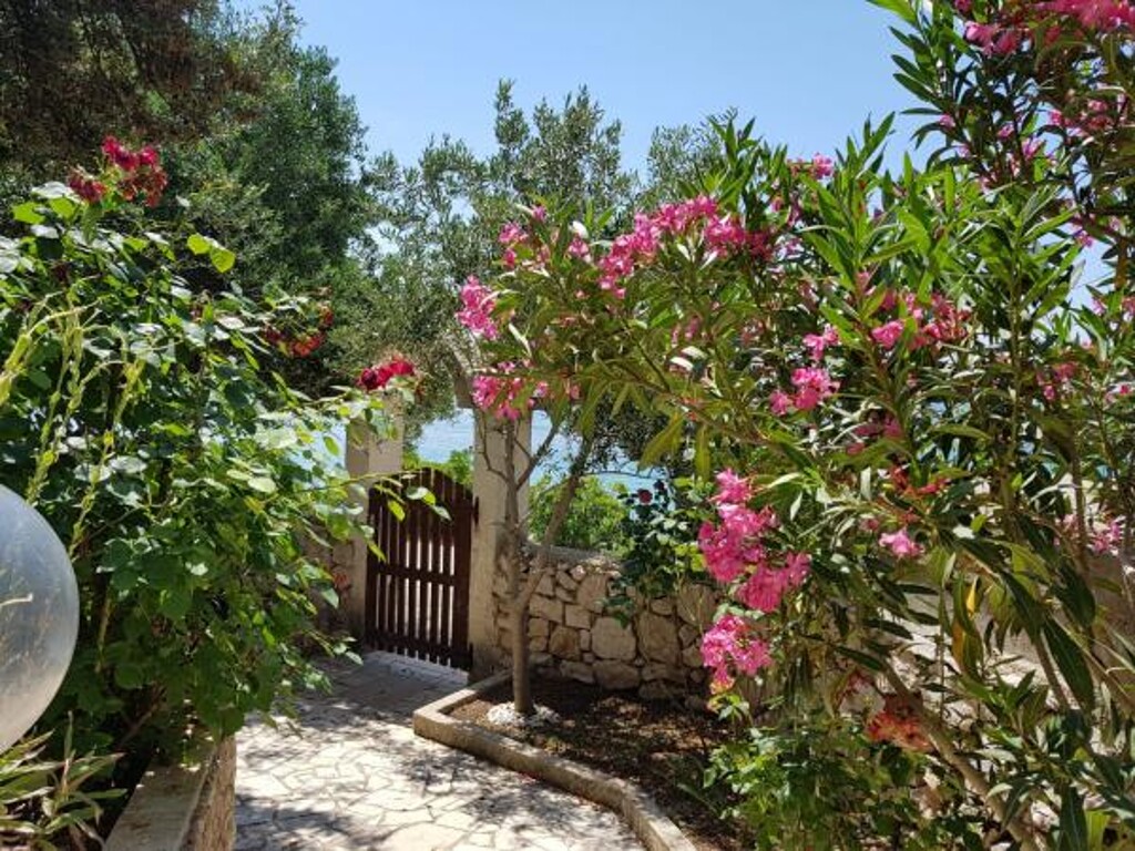 Image 3813414 - 3