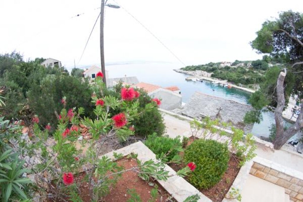 Image 3811119 - 8