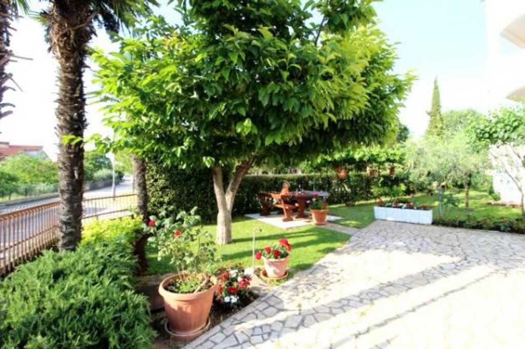 Image 3811601 - 8