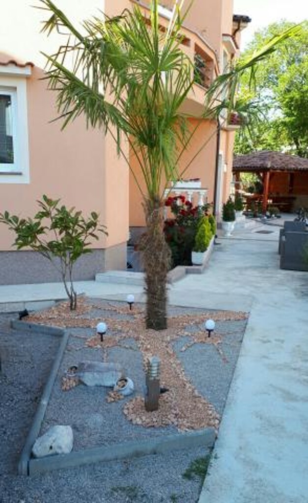 Image 3811439 - 8