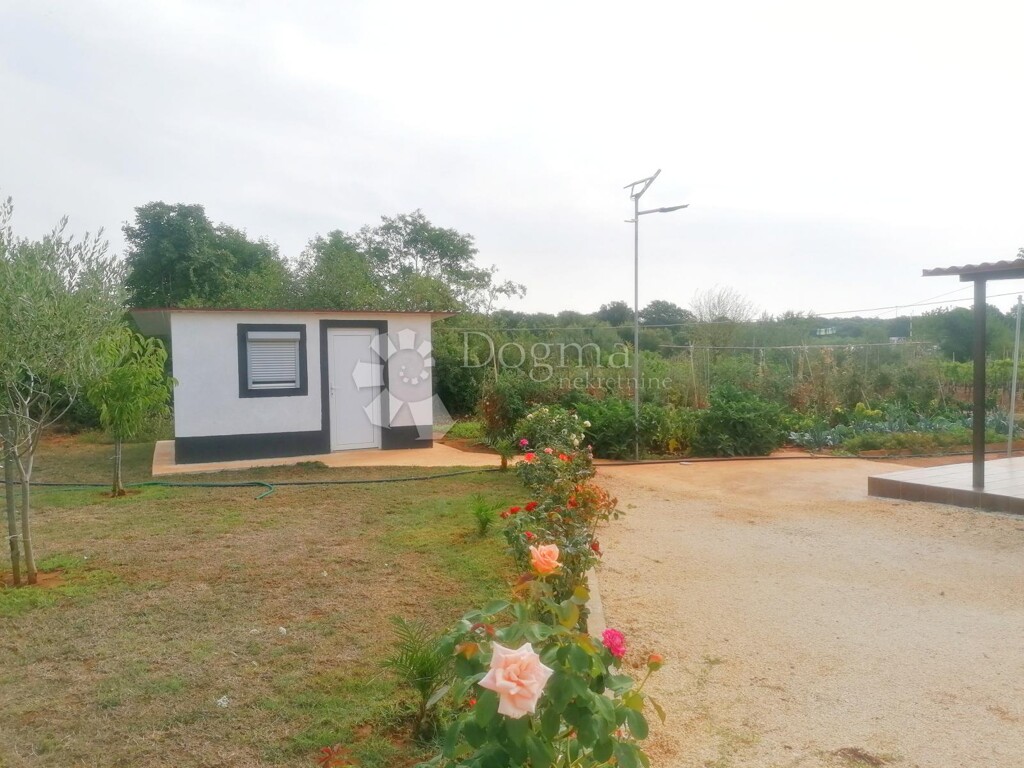 Image 12