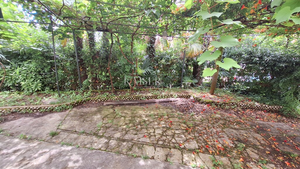 Image 17