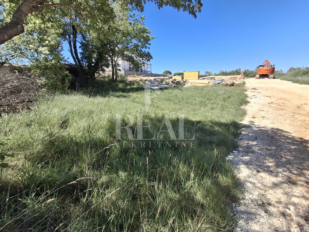 Image 11