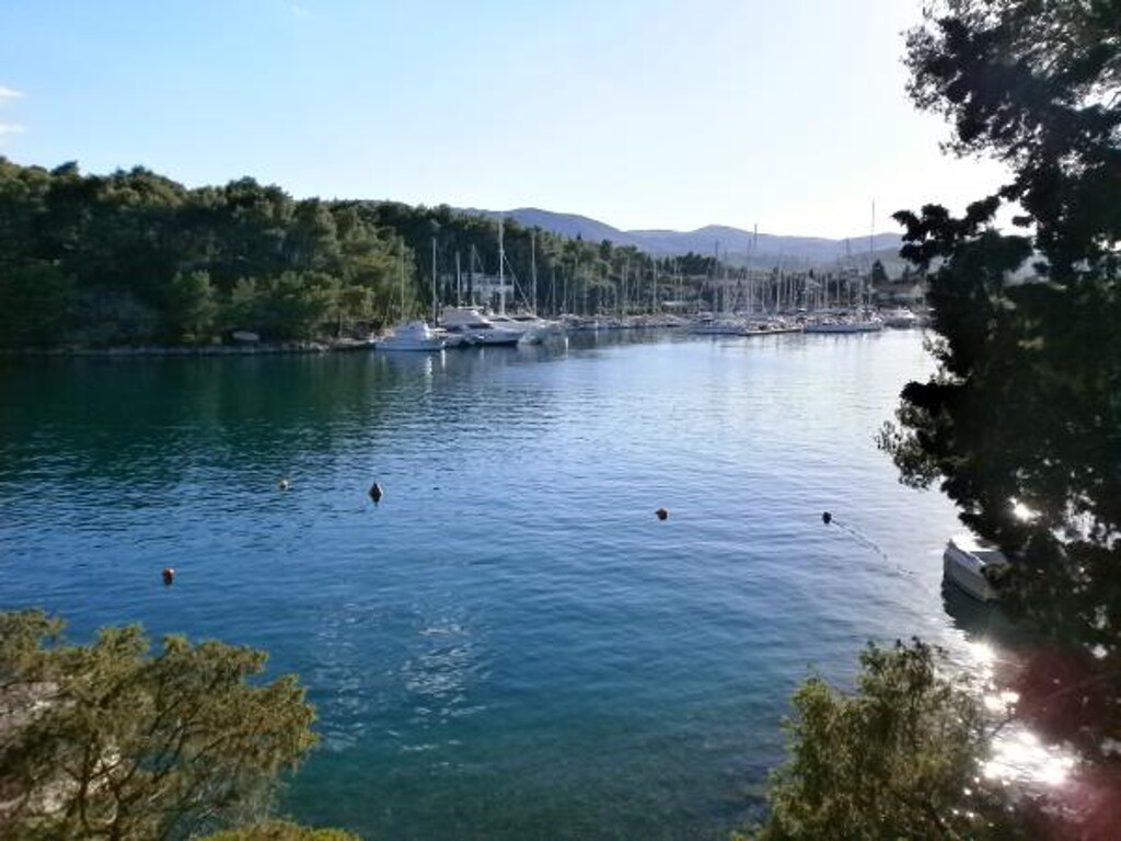 Image 3832213 - 11