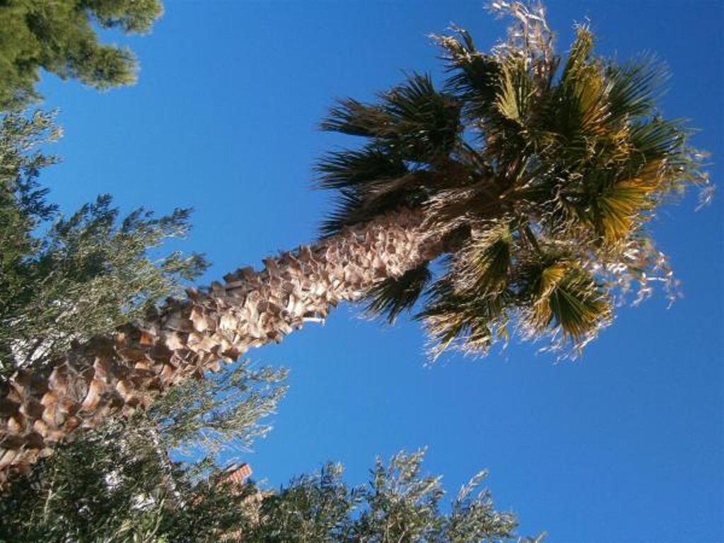 Image 3811656 - 6