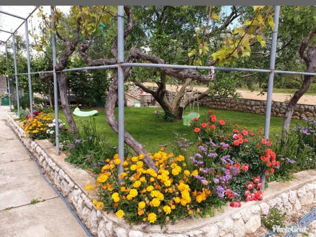 Image 3811633 - 11