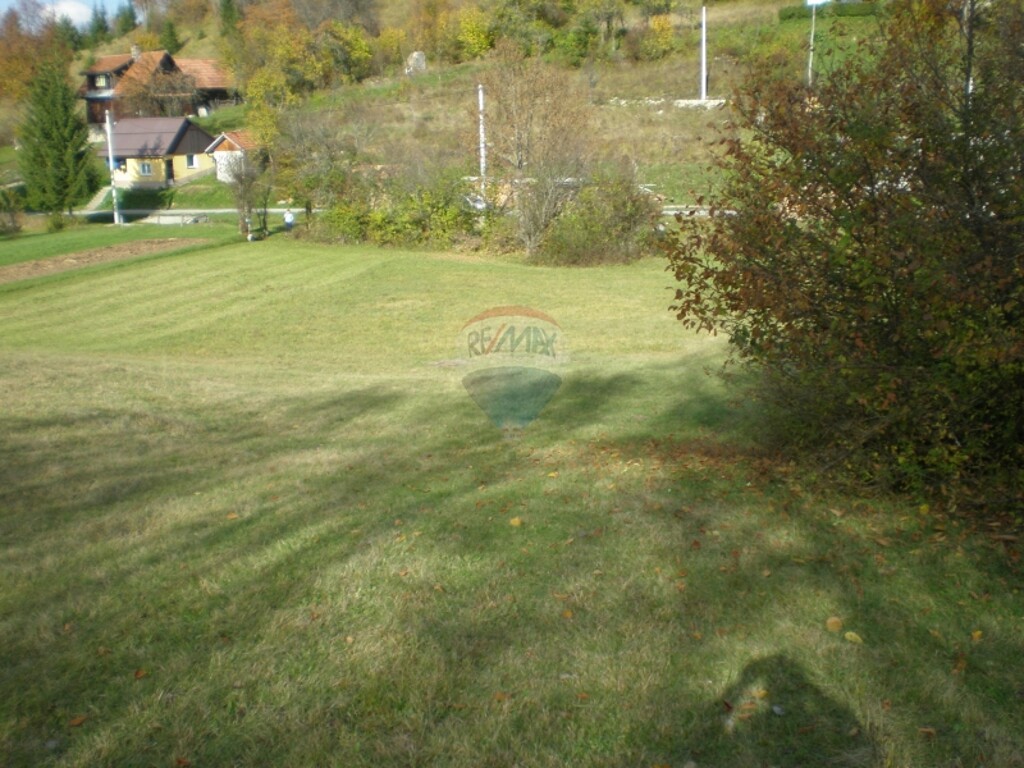Image 5411131 - 3