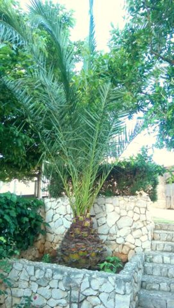 Image 3813044 - 4