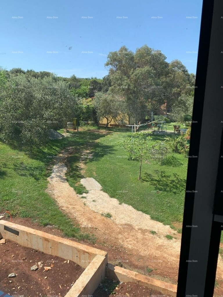 Image 34
