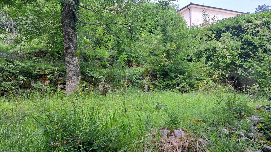 Image 5429440 - 12