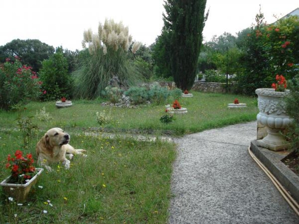 Image 3813644 - 3