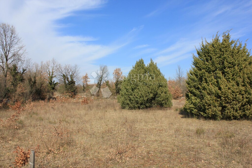 Image 15
