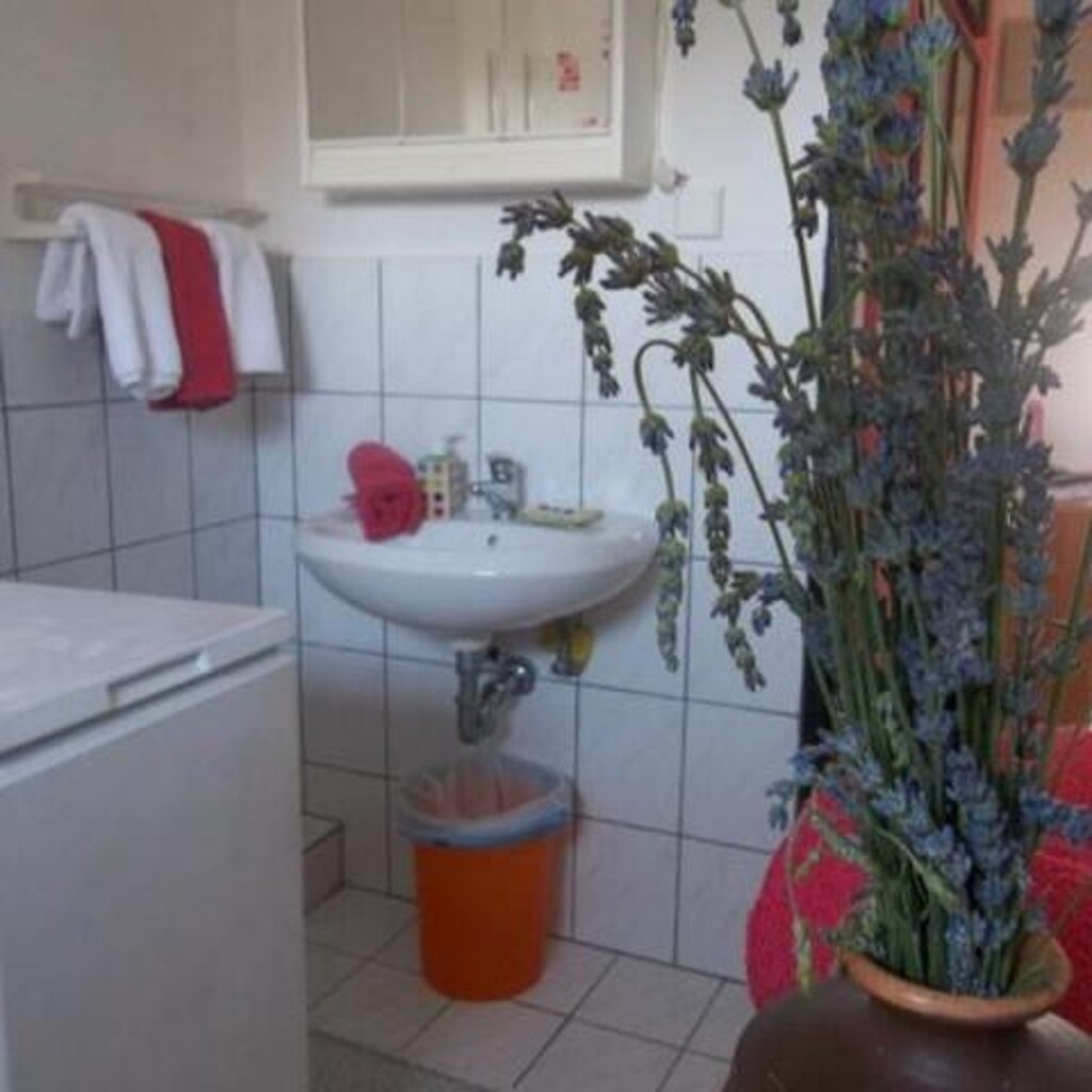 Image 3838913 - 7