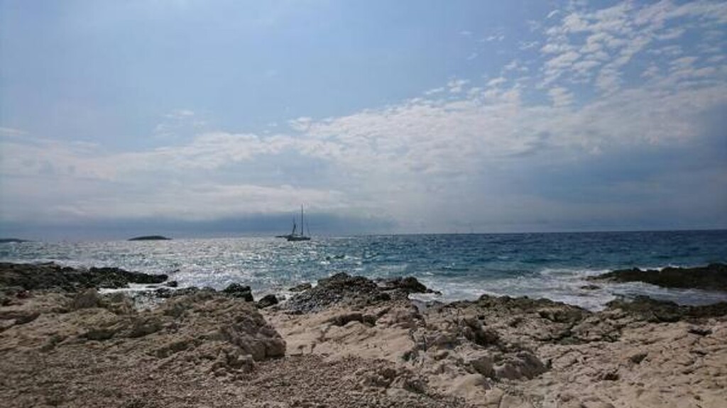 Image 3813564 - 31