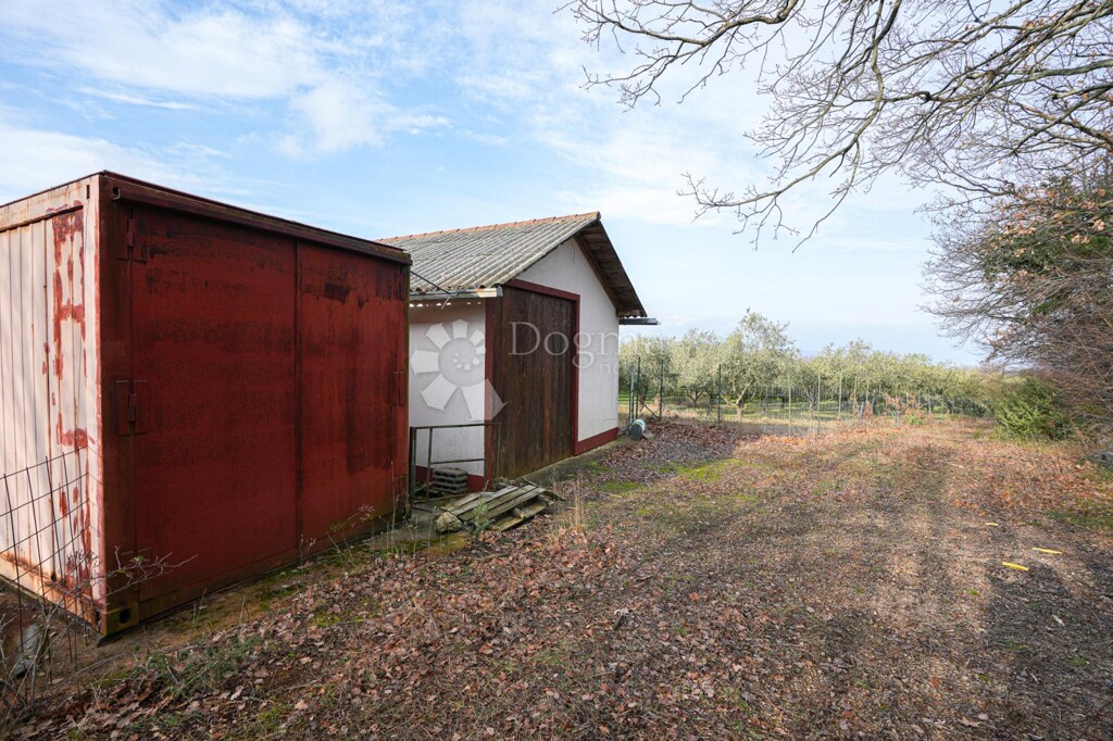 Image 12