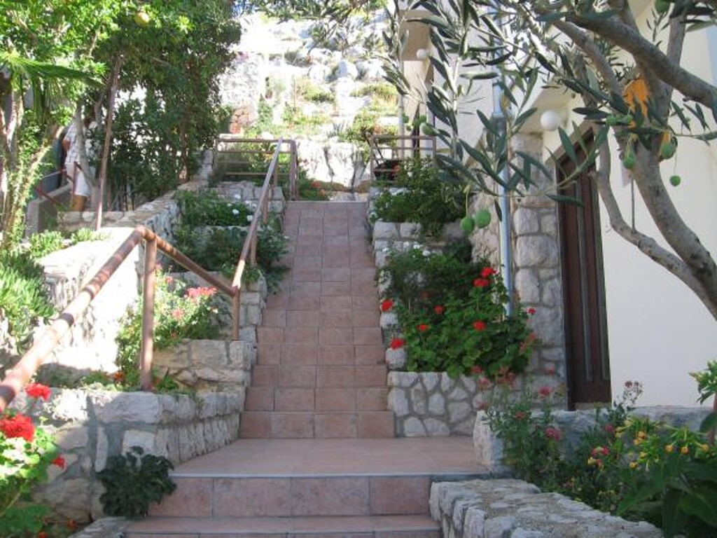 Image 3813295 - 27
