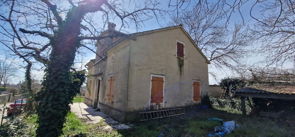 Image 19