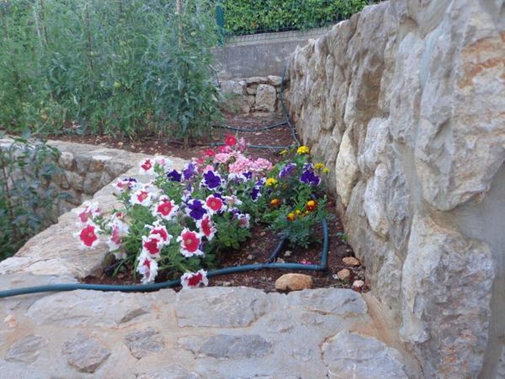 Image 3812928 - 6