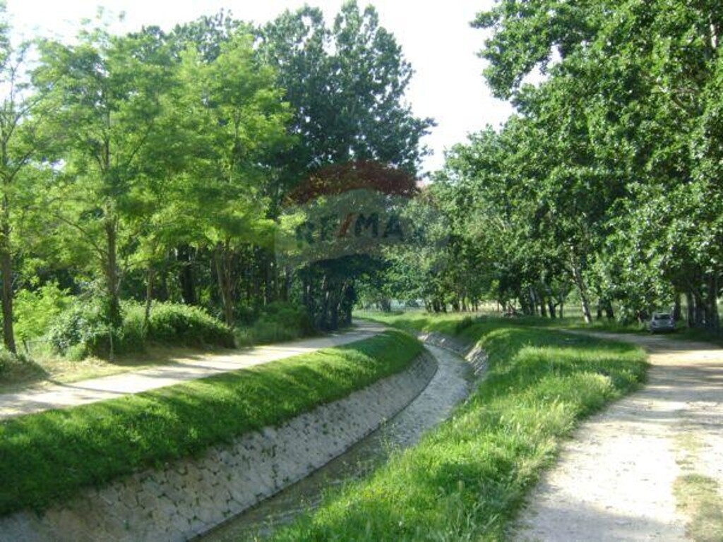 Image 5429872 - 4
