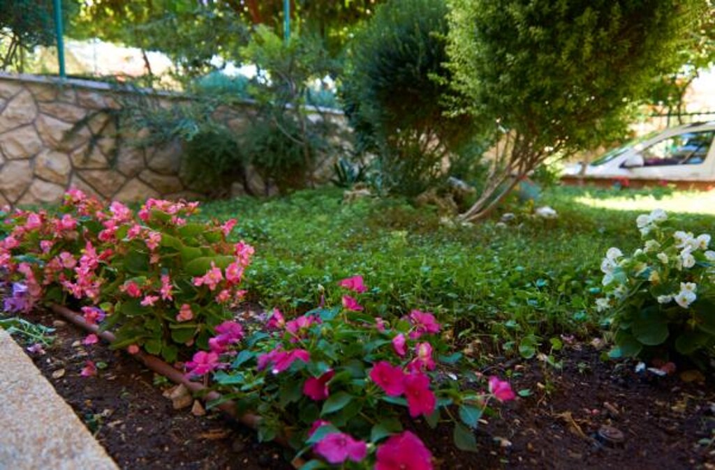 Image 3813701 - 10