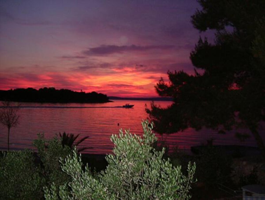 Image 3812569 - 9