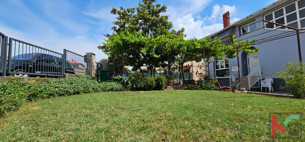 Image 27