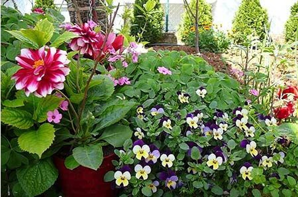 Image 3838715 - 6