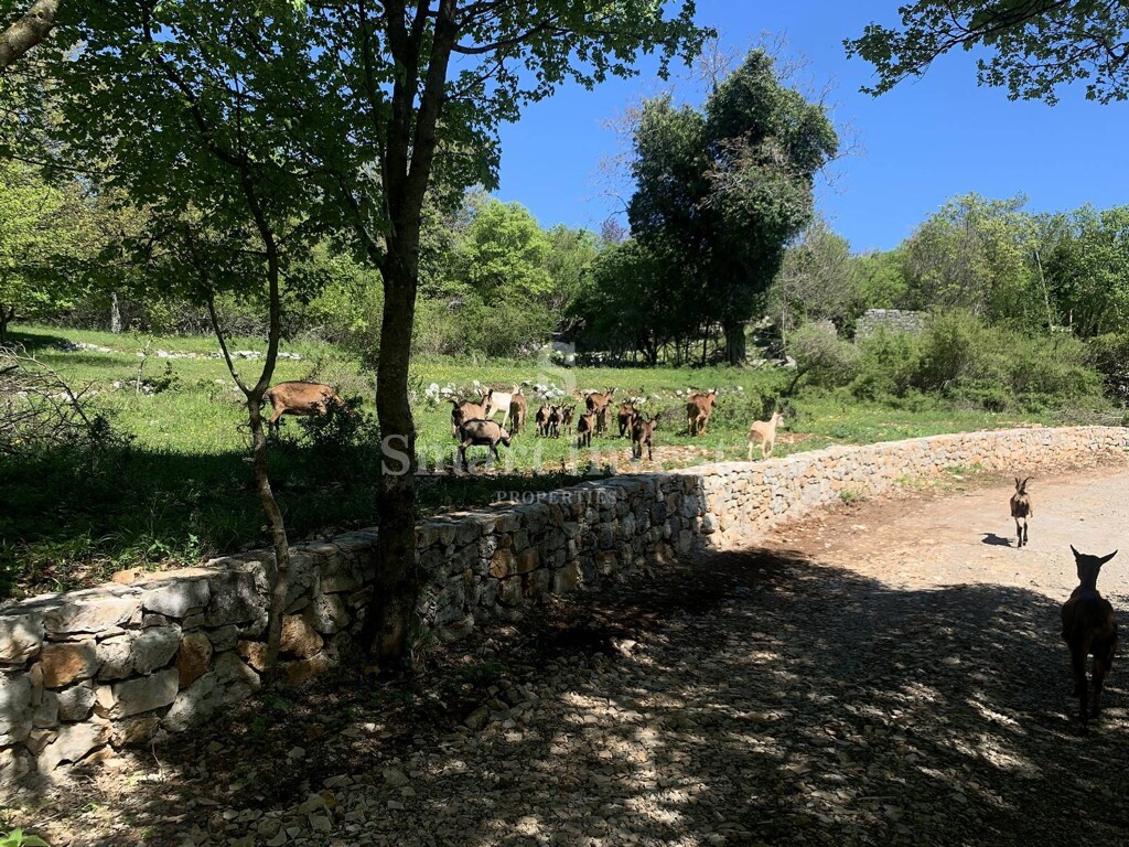 Image 25