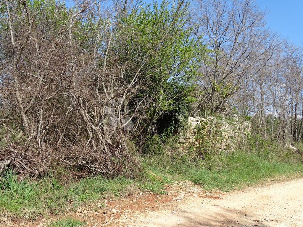 Image 14
