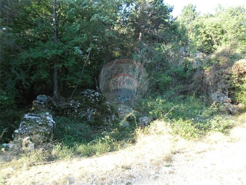 Image 5411027 - 1