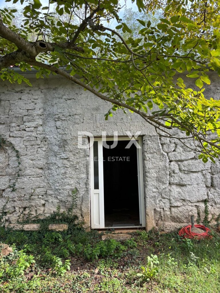 Image 20