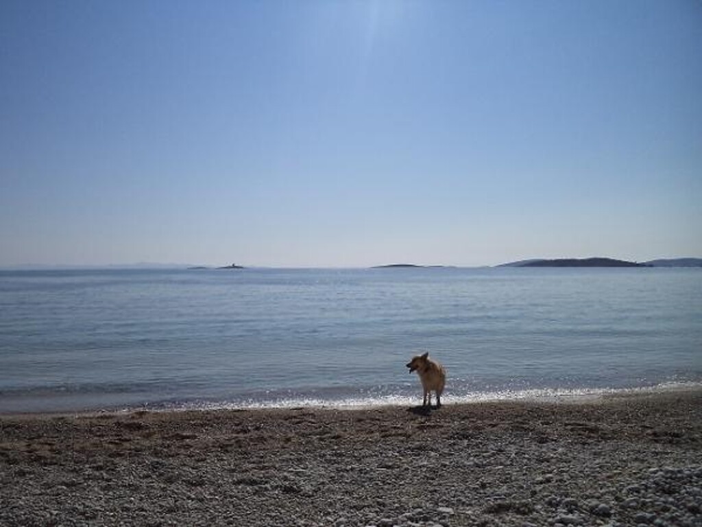 Image 3812151 - 12