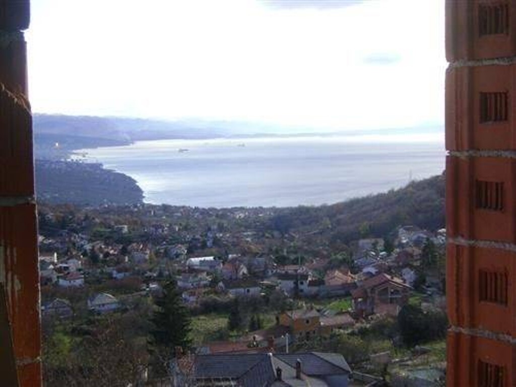 Image 5411357 - 1