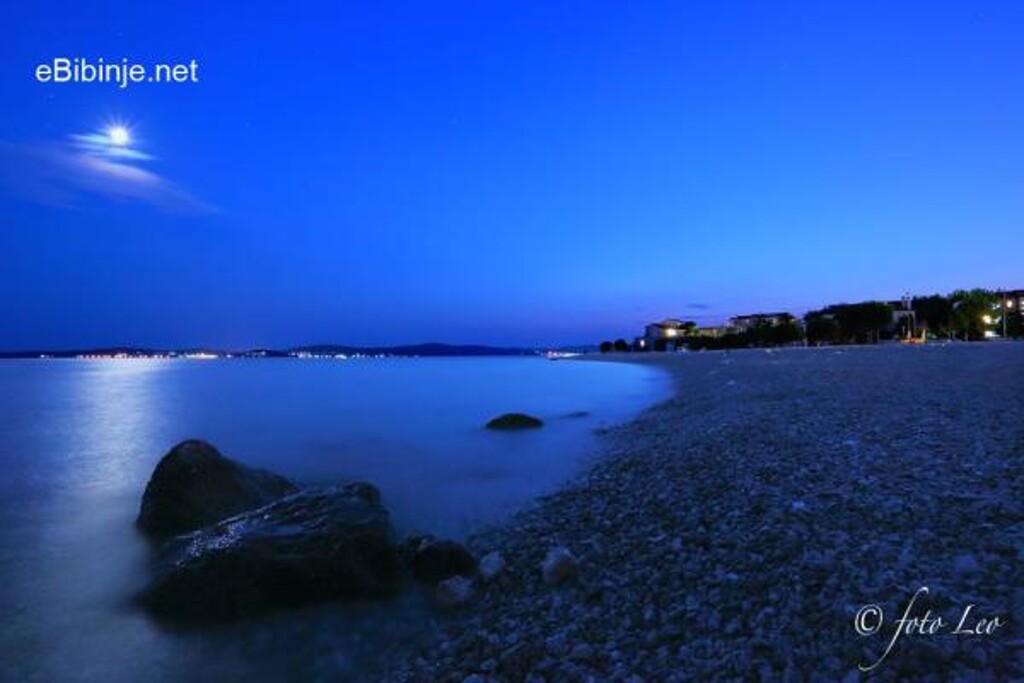 Image 3810995 - 6