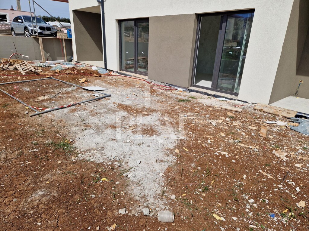 Image 12